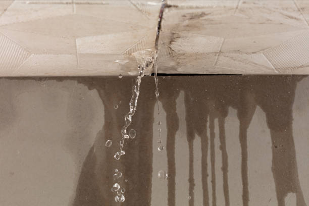Professional Flood Damage Cleanup technician working in Central, AZ